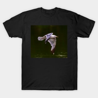 A Gull Flying Over a Lake T-Shirt